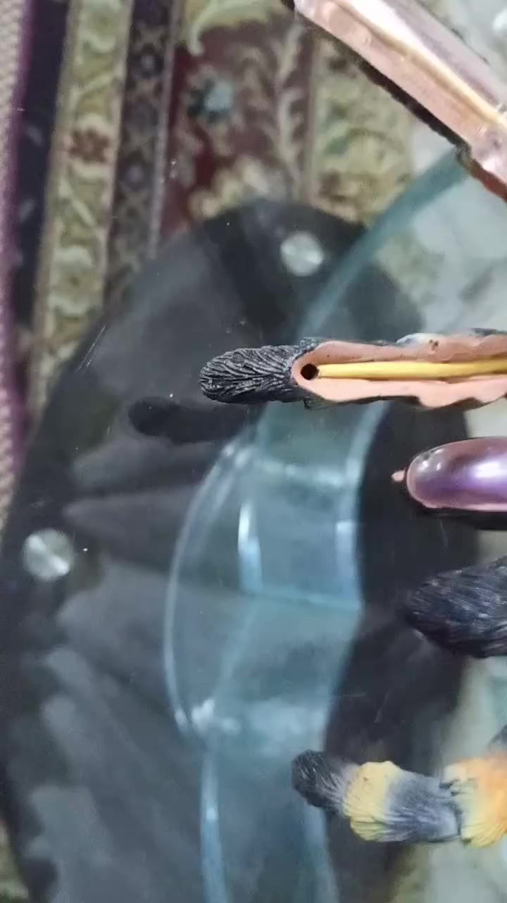 🕷️✨🔬 مجسم تشريح رتيلاء تعليمي احترافي 🔬✨🕷️
🎯 مو لعبة عادية… قطعة تعليمية مميزة ومختلفة!
🟢 ينفتح ويعرض الأعضاء الداخلية بشكل واضح
🟠 تفاصيل دقيقة وألوان ملفتة
🔵 مناسب لمدرسين الأحياء والطلاب
🟣 يفيد بالشرح العملي ويجذب انتباه الطالب
🟡 حجمه كبير وحالته نظيفة جداً
📚 مثالي للمرحلة المتوسطة والإعدادية
🎁 يصلح للعرض التعليمي أو كقطعة مميزة للعرض
🚚 متوفر توصيل بغداد والمحافظات
🔥 قطعة قليلة بالسوق لا تفوتك
📩 للحجز والاستفسار خاص


**إذا كنت صاحب هذا الإعلان وتريد حذفه لأي سبب، رجاءا أرسل رسالة إلى الدعم الفني**