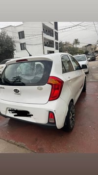 ابيض • ٢٠١٧ • رقم اربيل