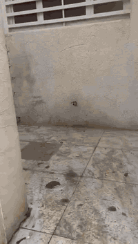 بيت للايجار مساحته 50 في هور رجب ايجاره 250 الف للاستفسار الاتصال07818...