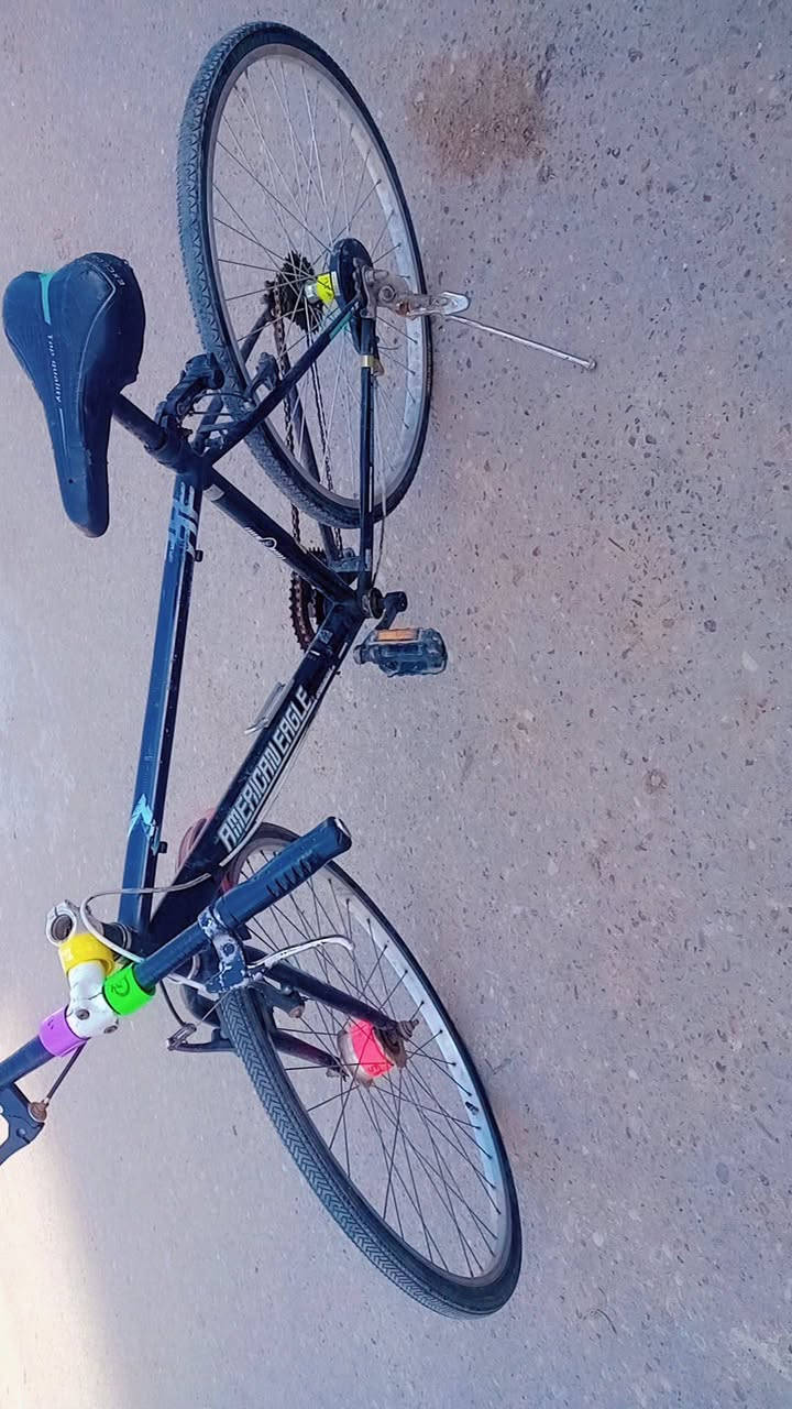 سلام عليكم باسكل للبيع جبلي السعر 40 وبيمجال الشراي يتصل ***********0 العنوان كربلاء  حي الغدير قرب حديقه الياسمين
