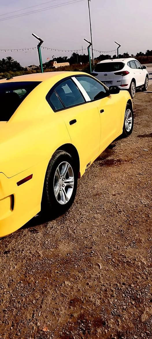 جاجر ١٣ مكينة وكير وحدادية تخم تاير جاهزه رقم بغداد بسمي تحويل مباشر السعر ١٤٥ بيهه ل *********** *********** مكانهه ذي قار الرفاعي
