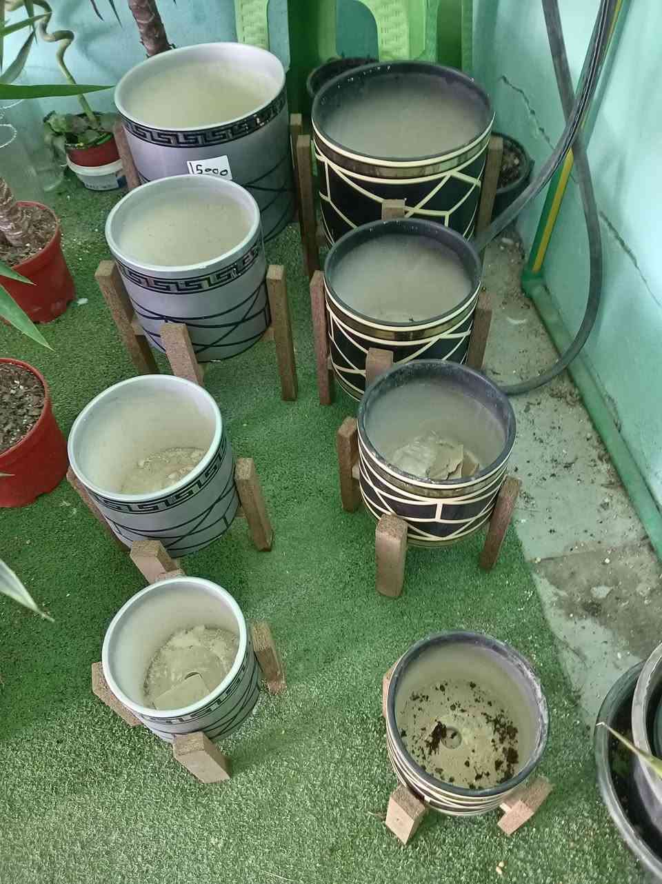 أسعدتم مساء متابعيني الكرام
🎉 تخفيضات بدأيت  السنة الجديده وكل عام وانتم بالف خير   الآن! 🎉
🌲✨ استمتعوا بأجمل الأشجار الضليه الدائميه… وبأسعار غير مسبوقة 
نورتوا المشتل وكل يوم نفاجئكم بالأجمل 🌿✨
اللي يحب الخضار والزرع لا يفوّت هالوجبة وصلت تبارك الرحمن… أسعار حلوة ونباتات أجمل ❤️🌱
متوفر في مشتلنا 🪴
📩 للاستفسار والمراسلة عبر الواتساب:
***********
🚚 خدمة توصيل داخل ناحية الحمزة فقط
🧑‍🌾 ويوجد كادر متخصص للتنظيف والزراعة
📍 العنوان:
بابل – الحمزة الغربي
حي الحسين – قرب عباس برهي للجملة
مقابل مدرسة المكرمه 
💚 زيارتكم تشرفنا ونورتونا بأي وقت

🌿

🌿
