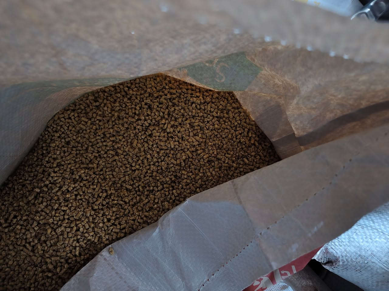 بفضل الله توفر 
علف تاج وباج 👑علف درجة اولى
توفر بثلاث مراحل 
المرحلة الاولى 
المرحلة الثانية 
المرحلة الثالثة 

و #أنا_أنافس_نفسي_فقط و #لا_أنافس_أحد 👨‍🌾🌕🌕
الزراعة ليست مجرد عمل، بل هي حياة تنبض": تعكس ارتباط الإنسان بالأرض كمصدر للغذاء والجمال🥀

#للطلب والاستفسار مراسلة بريد الصفحة 👍🏻 او الاتصال على الارقام التاليه 
*********** واتساب 
***********اتصال 
اوقات الدوام من الساعه 9 صباحا الى الساعة 11 مساءا 
الجمعه فقط الصبح نفتح العصر عطلة  رسمية 🙂

#بإداره_عمار عمر  الخليفاوي ✔️🟠

#عنواننا :
#الأنبار_ الرمادي _الخالدية شارع_ ابو فليس_ نزلة ابو فليس 800 متر على اليسار 👈 مقابل_ صيدلية_نور _الشفاء✔️✅✅

اللهم 🤲🏻 لا تحرمنا من خمس، سترك، ورزقك ، وعفوك، ورضاك، وحسن الخاتمة."... يارب 🤲🏻 
طيب الله اوقاتكم بالخير و تآلف القلوب

#زورونا وستجدون الافضل👍🏻.
