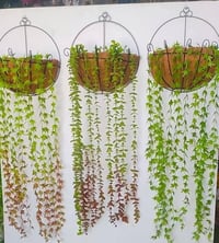 حلة نادر الثانية