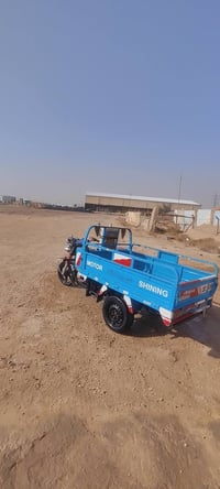 ستوته • ٢٠٢١ • شاصي رگبه