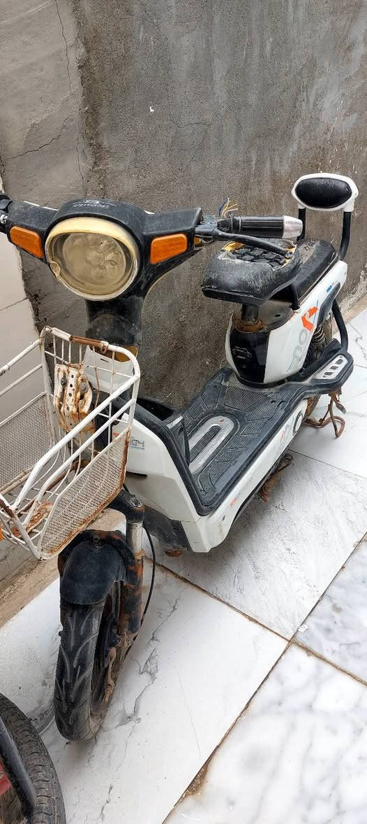 من رخصة الادمن
السلام عليكم اخوان دراجه شحن محتاجلها باتري بس السعر ب150 الف وبيها مجال


**إذا كنت صاحب هذا الإعلان وتريد حذفه لأي سبب، رجاءا أرسل رسالة إلى الدعم الفني**