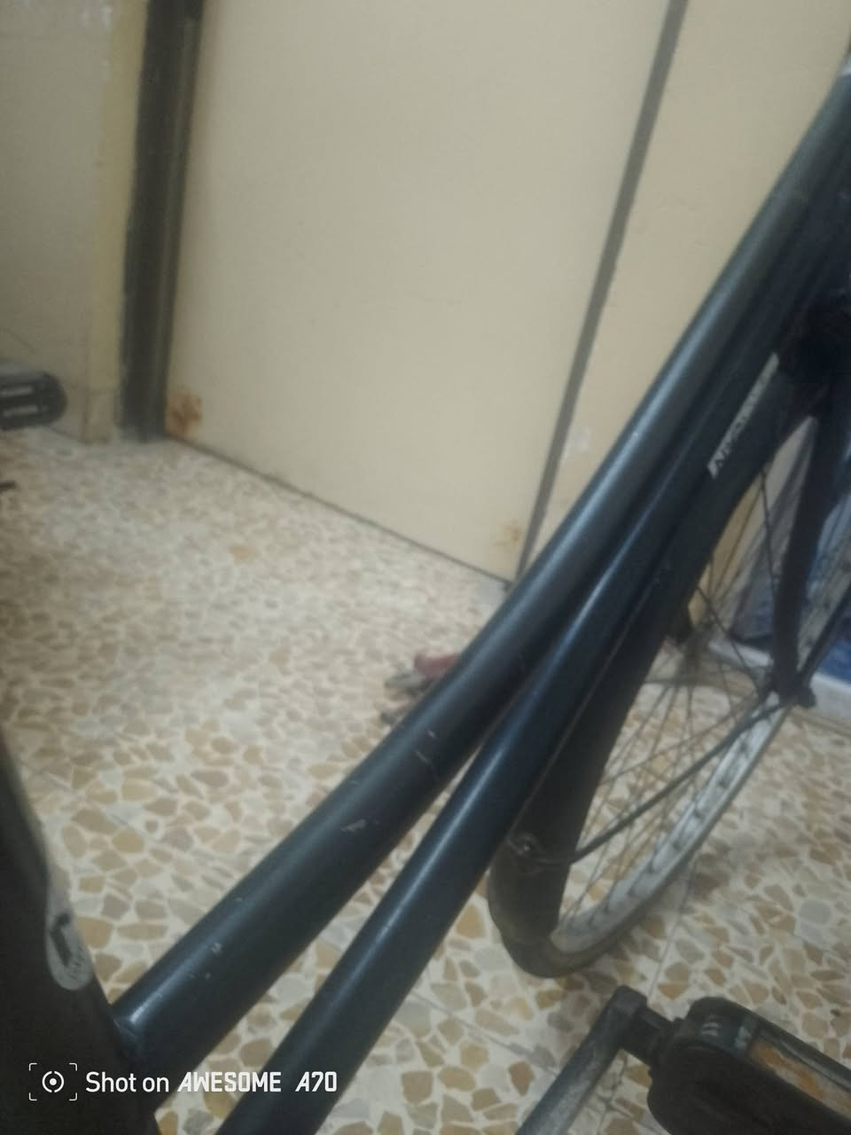 سلام عليكم بايسكل للبيع حجم 24 بايسكل كلو شغال غراضو موجوده الصينيه مال زنجيل موجوده والسله موجود السعر 60الف وبي مجال العنوان موصل رأس الجاده قرب ملعب رعد الرقم ***********

