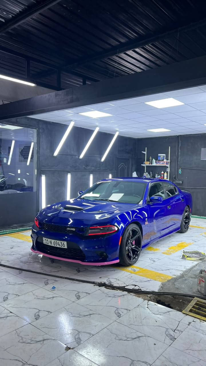 جارجر سكات باك 🐝
مديل 2021💙

سعر 224بيه مجال بسيط

حادثه قفط بنيد 

💙مواصفات💙
1_شاشه كبيره 
2_شفتات ستيرن
3_كشنات كهرباء 
4_كامره دواره
5_فجوج برمبو
6_تبريد ❄️ 
7_كير مكينه كفاله
8_اكسن حداديه كفاله
9_ويل نجمه خسفه قويه
10_رقم بغداد نكليزي بسمي
11_ستيرن تدفى +كشنات تدفى
12_كير مكينه كفاله
13_ماشيه 66
14_يوجد سونارات ثنين داخل المنشور

مكاني كربلاء 
((مكلف بل نشر شراي يتصل خاص مغلق))
               ((فقط بيع بدون مراوس))
رقم***********
