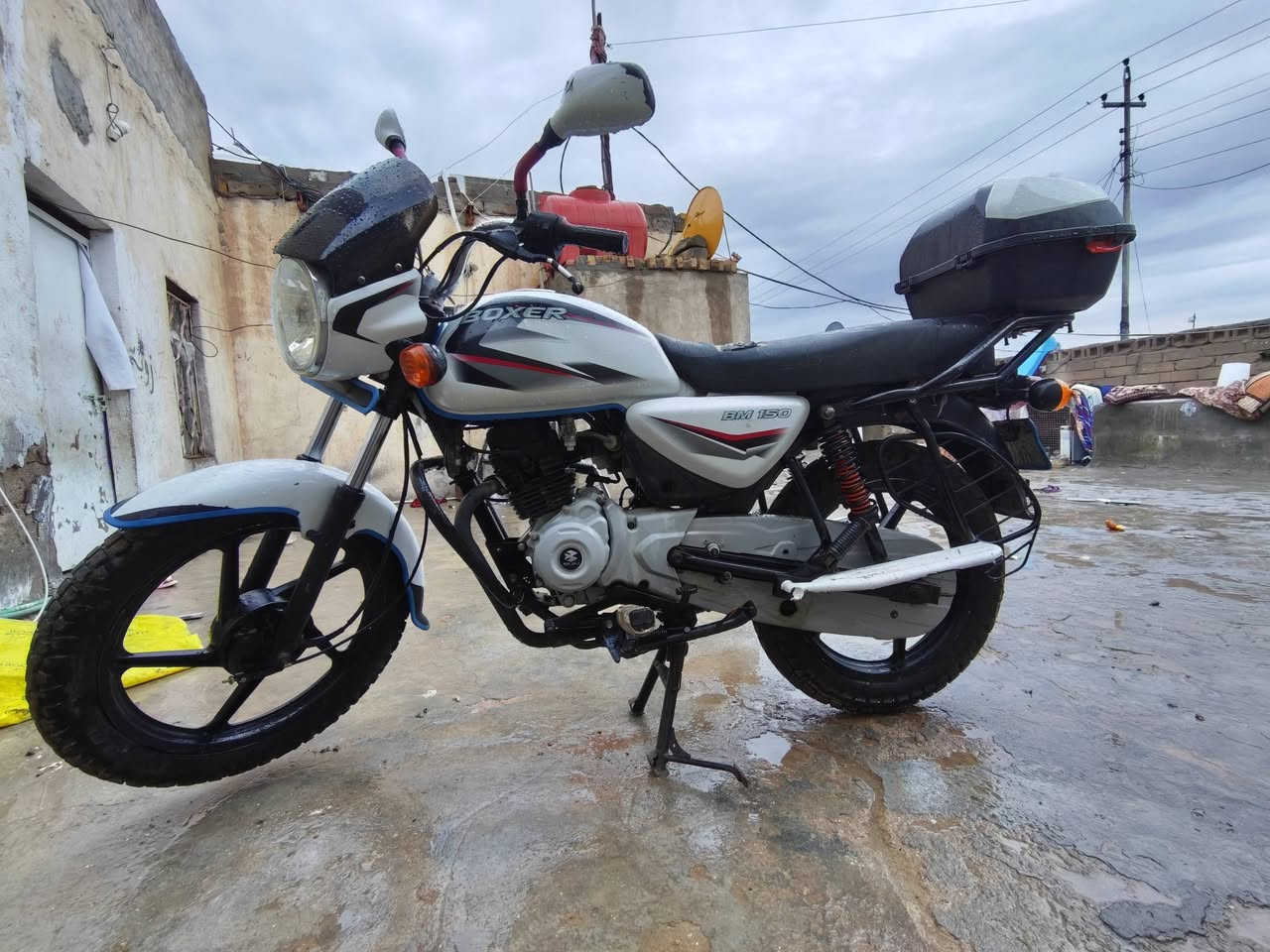 بوكسر 22
ميسان المجر الكبير
1500 $
***********
