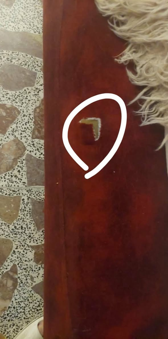 الموقع بغداد المنصور الوشاش
تخم ١٠ مقاعد تركي درجه اولى مخزن اضراره بس لقماش شي بصيط هيكل وسفنج مضمون اي شي مابي 
تخم تكمه  سعر ٥٠٠ 
للتواصل خاص موجوده


**إذا كنت صاحب هذا الإعلان وتريد حذفه لأي سبب، رجاءا أرسل رسالة إلى الدعم الفني**