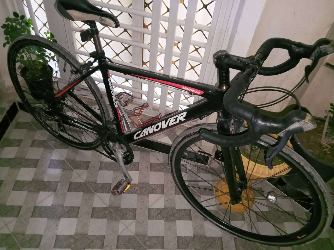 السلام عليكم..
(⛔للبيع او مراوس ب افريم اعلى من افريمها ،48)بفرق بسيط  دراجة هوائية (Road Bike) يابانية أصلية من شركة Canover موديل Uarnos، الدراجة مجهزة بقطع احترافية ومواصفات خاصة تختلف عن الدراجات العادية.
​المواصفات الفنية:
​الهيكل (Frame): ألمنيوم خفيف جداً، تصميم انسيابي وسريع.
​الشوكة الأمامية (Fork): كاربون فايبر (Carbon) أصلي؛ ميزة احترافية لتقليل الوزن وامتصاص اهتزازات الطريق لراحة اليدين.
​نظام التعشيق (Gears): * شيفترات (مقابض) Shimano Claris أصلية (نقرة سريعة ودقيقة).
​جهاز خلفي Shimano (8 سرعات/نمر).
​كرنك أمام Shimano أصلي لسلاسة نقل القوة.
​الوزن: خفيفة جداً (حوالي 11 كغم فقط)، مما يجعلها سريعة جداً في المشي وسهلة في الحمل.
​النظام الخلفي: نظام Cassette (8 نمر) وليس فري ويل عادي، مما يعني قوة وتحمل عالي.
​الحالة:
​الدراجة "بالة" يابان، شاصي سليم 100% بدون أي كسر أو لحيم.(للستفسار اكثر عبر الواتساب ***********) ليريد صور الها وهو شراي او يراوس ب افريم اعلى يدلل يراسل خاص
