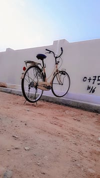 باسكل • للبيع • اتصال