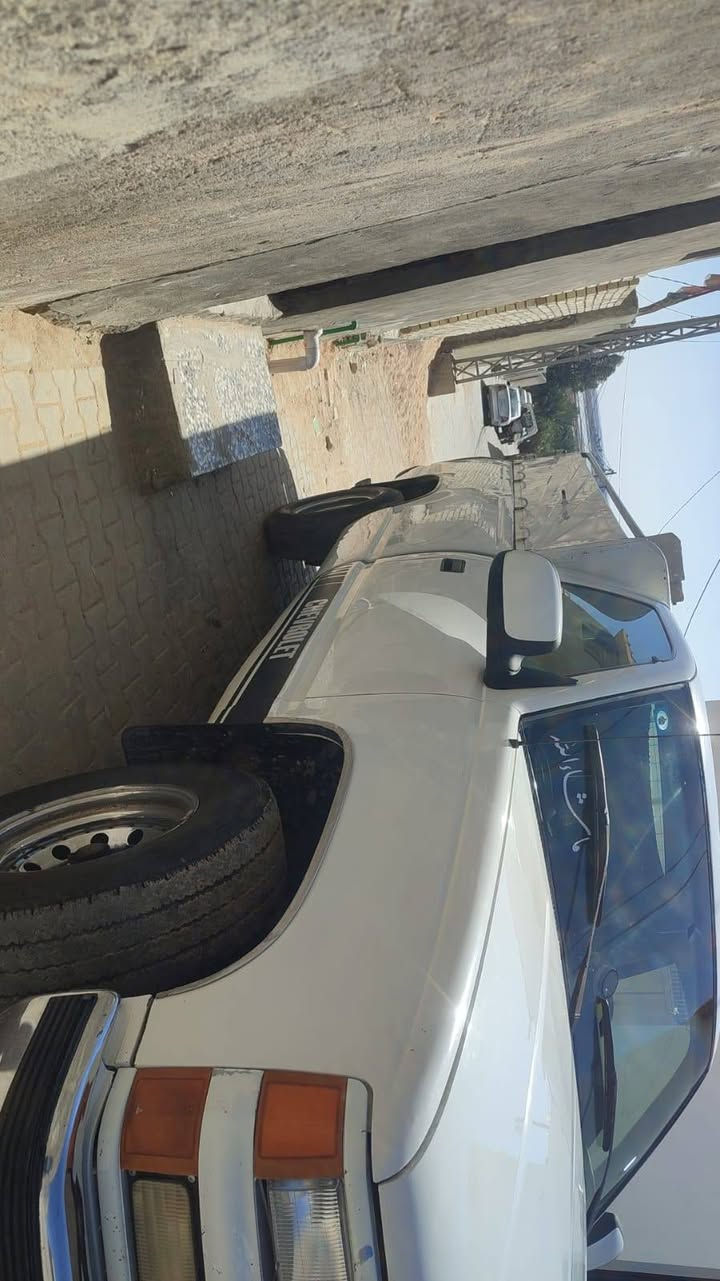 جمسي فحل للبيع رقم الهاتف ***********
