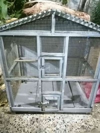 قفص كناري • فلوجه