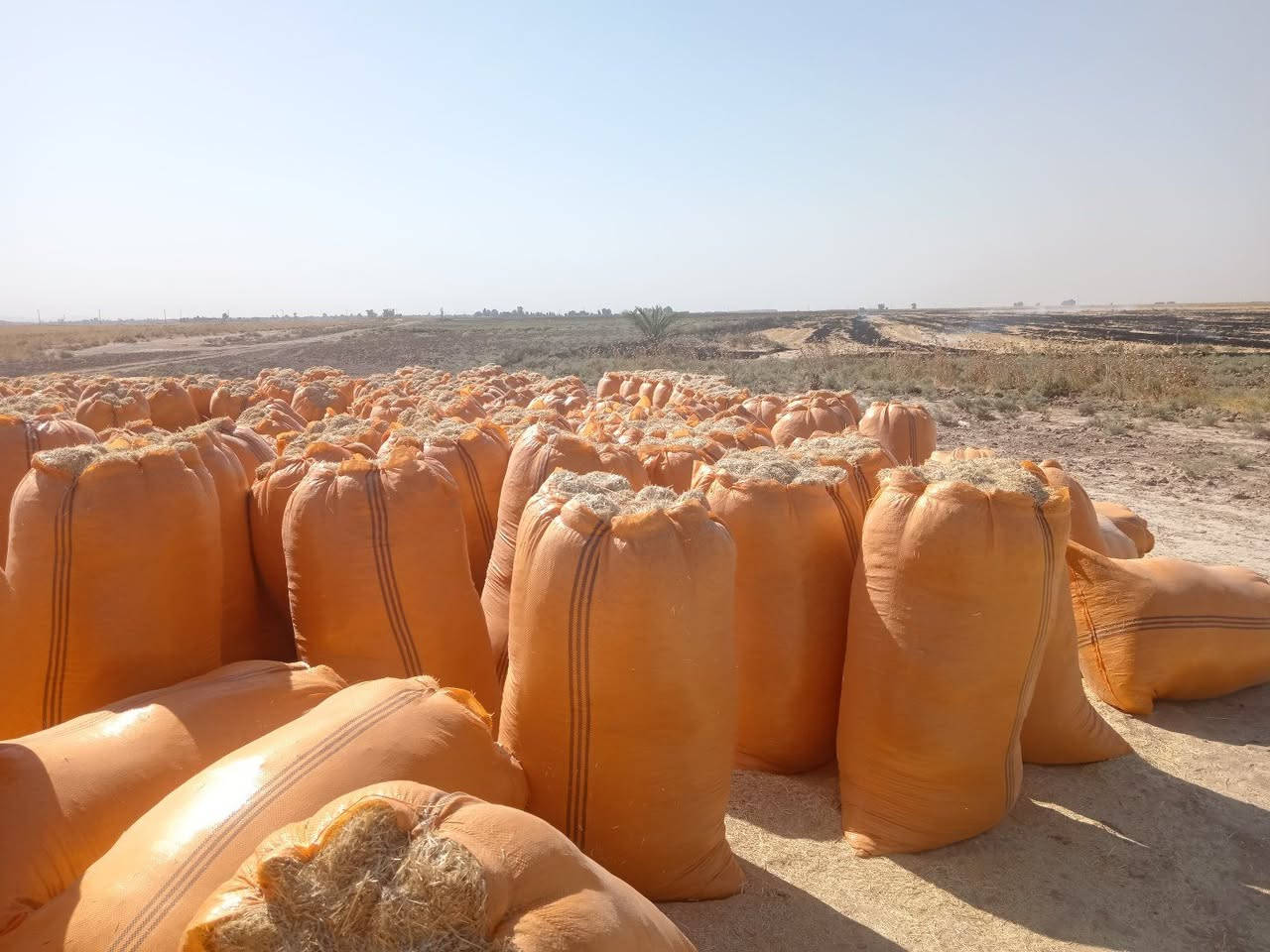🌾 يوجد تبن للبيع 🌾

تبن الشمال (أربيل وكركوك)
✅ أبيض
✅ ناعم
✅ نظيف
✅ خالٍ من التراب

🚛 سعر الزوج إلى ديالى : ٧ونص 

📞 للاستفسار والطلب: ***********
