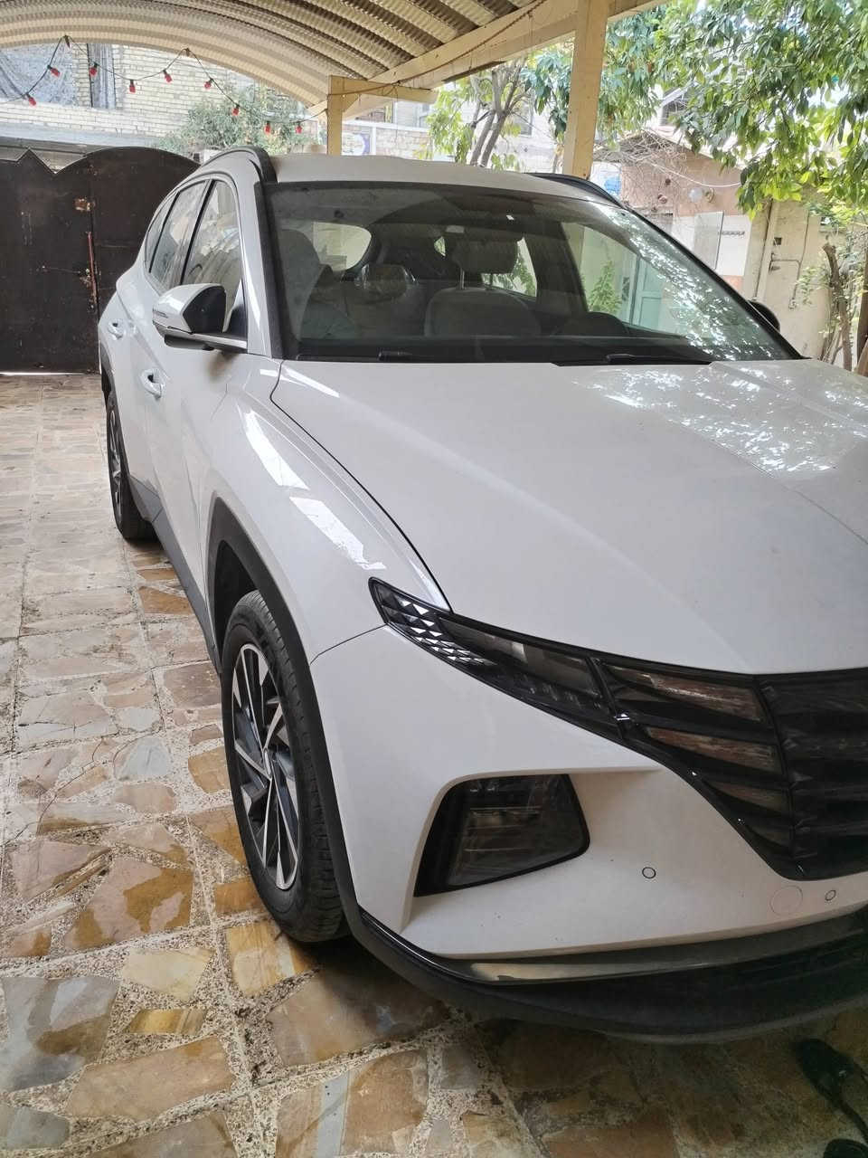 خليجي ابيض ٢٠٢٤ ماشية ٥ الف فقط السعر ٢٢٠ رقم بغداد مكانها بغداد
***********
