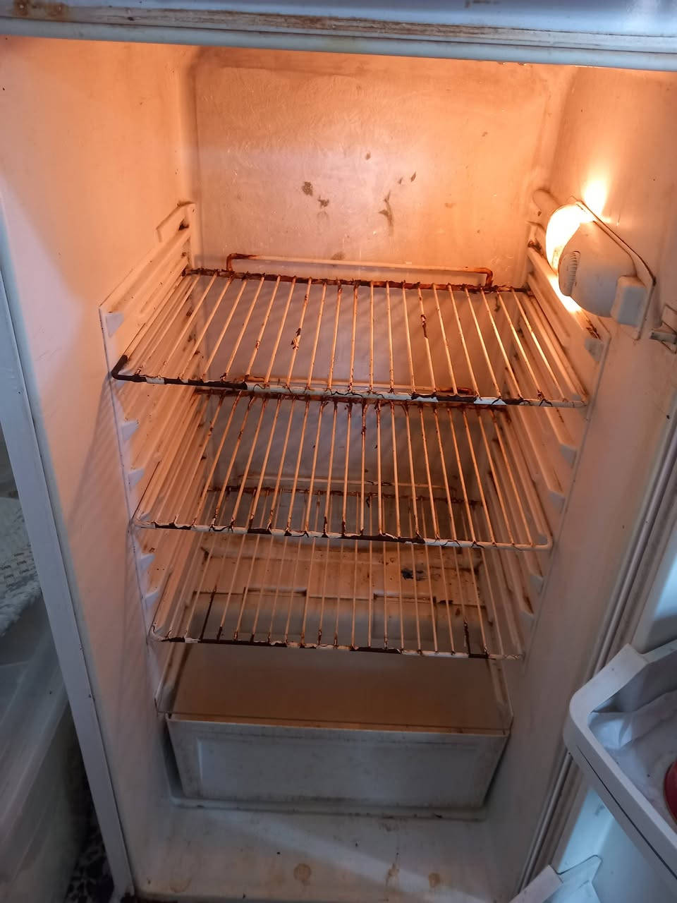 ثلاجة حجم وسط قديمة قفل 50


**إذا كنت صاحب هذا الإعلان وتريد حذفه لأي سبب، رجاءا أرسل رسالة إلى الدعم الفني**