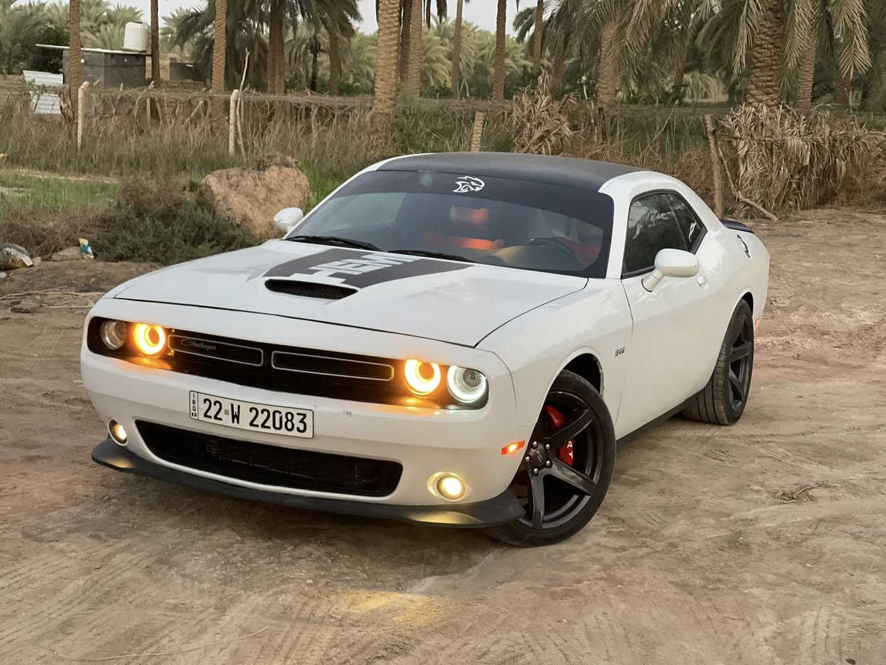 موديل ٢٣ رقم اربيل سعر ١٦٨ قطعتين صبغ جاملغ وبنيد فقط فقط بدون رصعات بدون تكحيل بدون اي شي 
جاهزه للاخير ربع مذب عليها 
الداخل كله كاربون غرفه بالكارتون
محرك ٨ هيمي 5.7 
ماشيه ٢٥ الف ميل اخوان جدا مستعجل ع البيع 
عليها داون بايب برمجه طلقات 
مكاني بابل عندي وكاله كبل احولك مباشر 
للعلم ماكو هيج سعر بس جدا مستعجل 
***********
