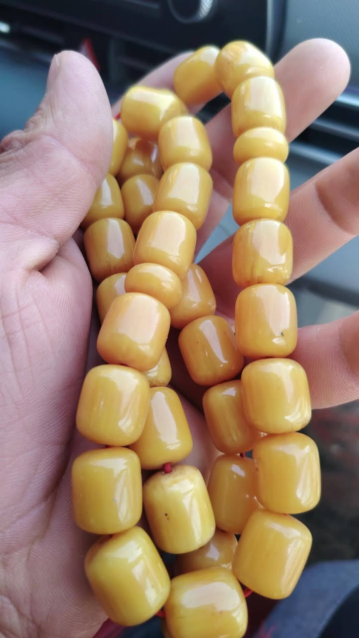 اندلس الماني اجراخت باكستان عطاب قديم


**إذا كنت صاحب هذا الإعلان وتريد حذفه لأي سبب، رجاءا أرسل رسالة إلى الدعم الفني**