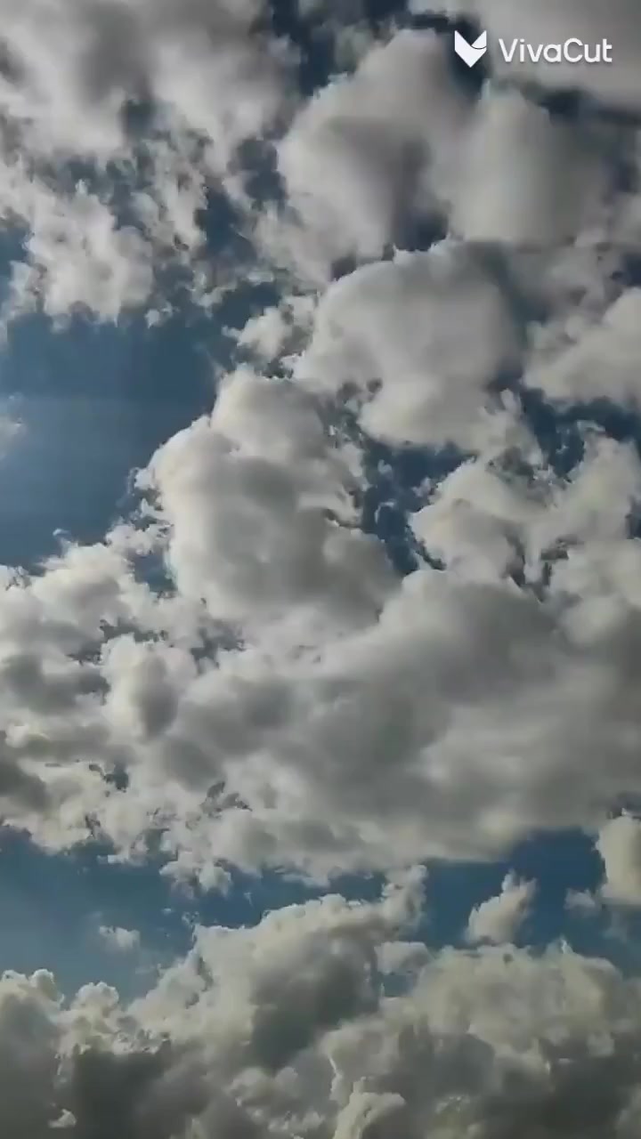 (هل صليت علا محمد وآل محمد.)     ( ما شاء الله    )   (  ما شاء الله  )   (  ما شاء الله) 
السلام عليكم توجد كيه حمل نثيه وفحل +تحميل تفريغ + واذا عندك نقليات اجيبه الك من اي مكان نطلع كراوي داخل العراق وايضن سوريه وايران متواجد في اي وقت للتواصل(***********)
