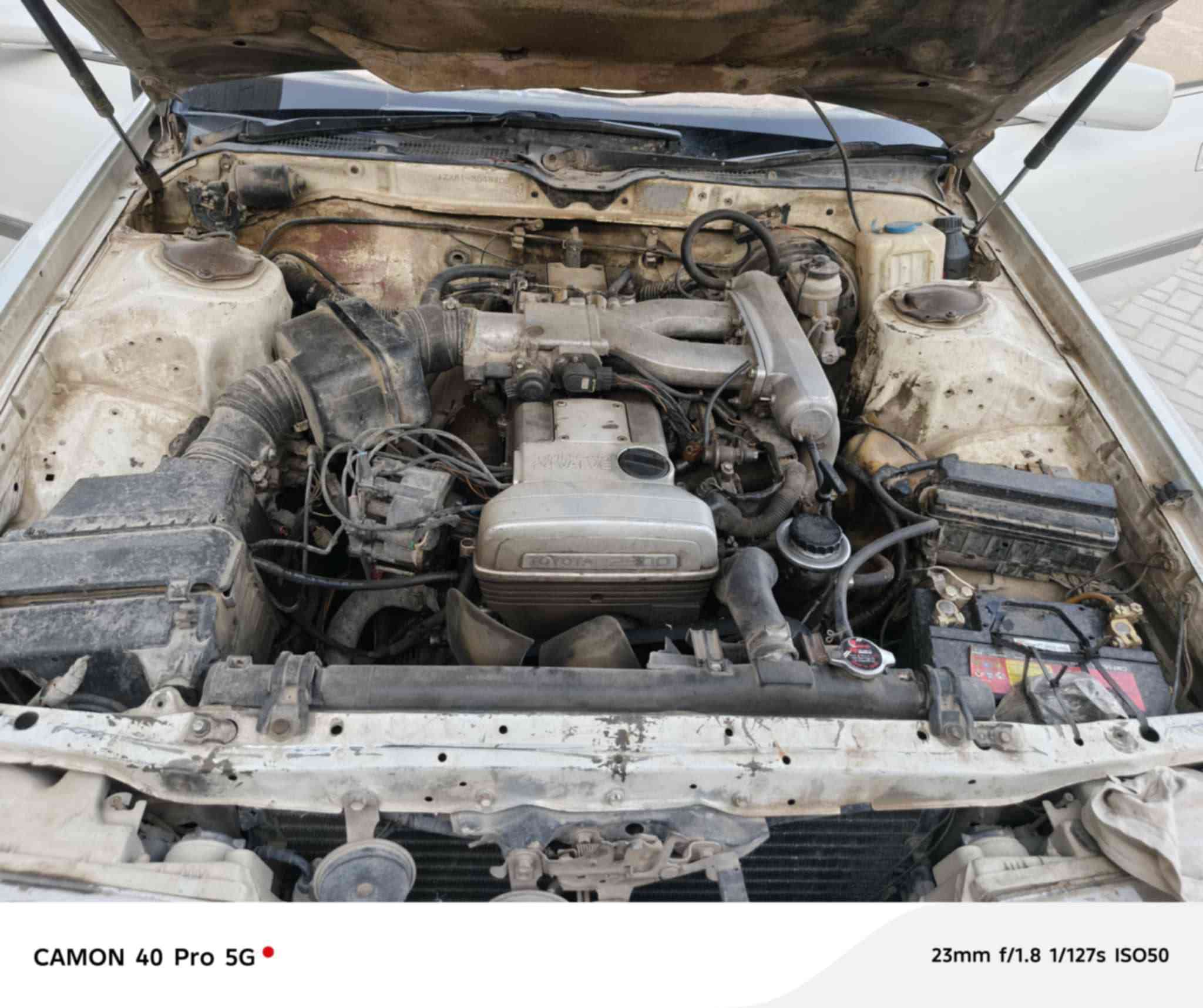 مارك گصيف السنويه 30 كهربائية شغله م المكان البصره القرنه سعر/34/ ‏‪***********‬‏
