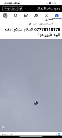 طيور للبيع • طيوري