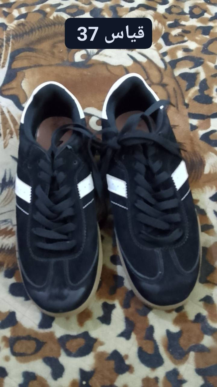 سعر الواحد 5
العنوان العبيدي الشهداء الثانيه


**إذا كنت صاحب هذا الإعلان وتريد حذفه لأي سبب، رجاءا أرسل رسالة إلى الدعم الفني**