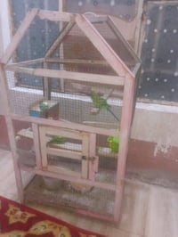 طيور حب • ٤طيور • مع قفص