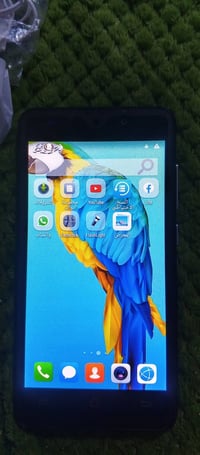 جهاز بيع • عدد 2 • شط العرب