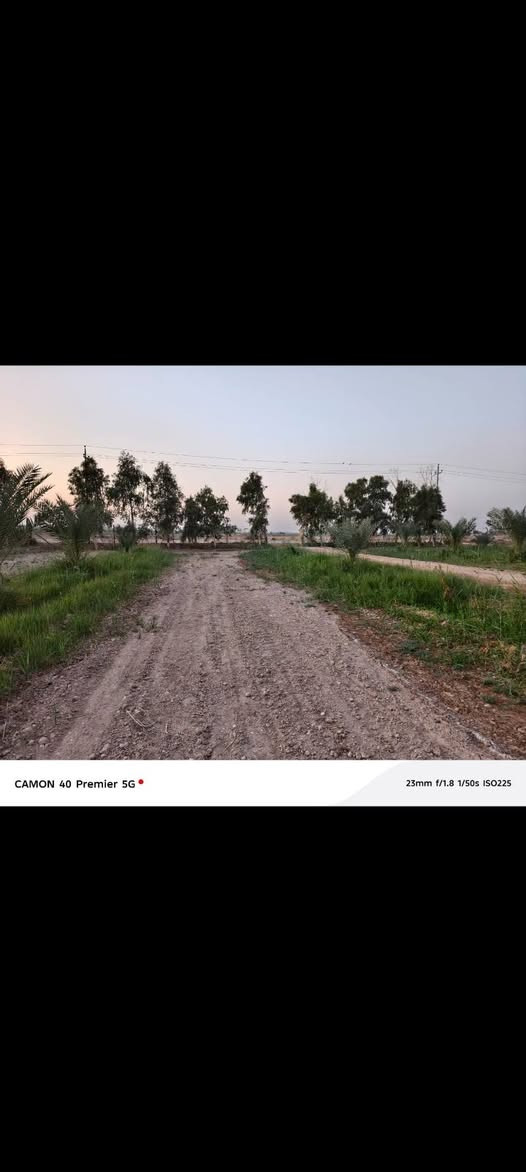 ارض دونمين طابو،25، مع بيت جاهز
قريبه عله ناظم 4
هاتف ***********
