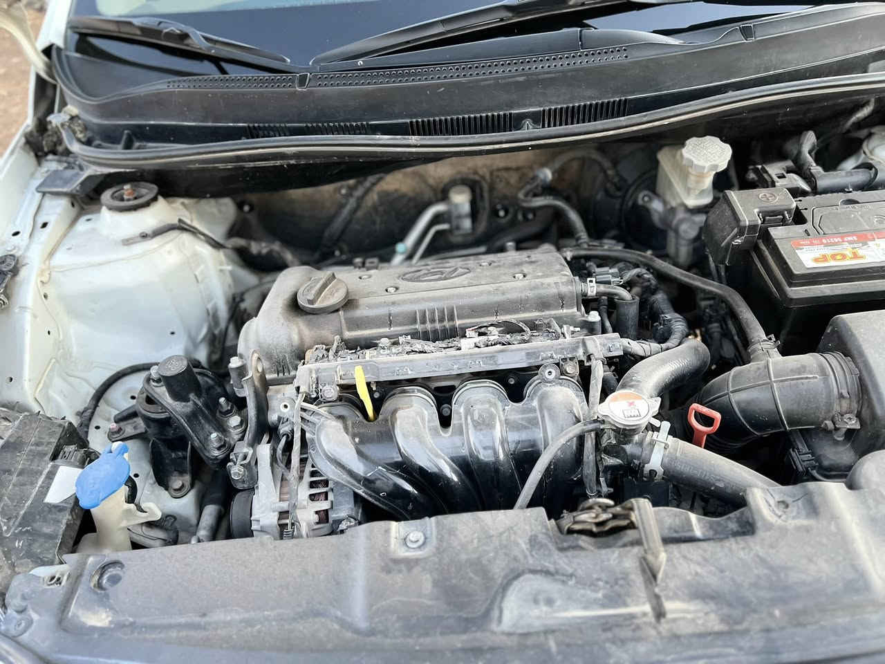 سلام عليكم ورحمة الله وبركاته 
عظم الله لكم الاجر الاستشهاد كاظم الغيظ ع

اكسنت خليجي موديل ١٦  رقم بغداد إنكليزي هزه جديده بسم ابن خالي تحويل وكالة بلي يعجبك 
محرك ١٦٠٠ 
سياره فوول مواصفات شركه عطاء الرحمن 
سياره كله وضع شركه لاتسال وتعب روحك 
شرط تراي زيرووو
اكفله الك من كل نقص 
برغي ممفتوح بيه كله وضع شركه 
سياره كفاله من صبغ وتبديل ولفتح 
بيه شبر بارد
بيه مكانين كرت اثر تكشير 
اسياره استخدام آيد وحده اني الايد ثانيه 

سعر ١١٨ بلعافيه ع ياخذه الله شاهد الف مذب عليه او تترحملي ع ترايه  
مكان سيارة ديوانيه قضاء شامية 
***********
خاص مغلق 
رجاءً موشراي ليخابر 
وشراي أعيوني اله

سعر ١١٨ بيه مجال للجاد
