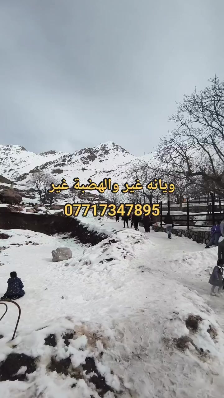 سفراتنه ويه الثلوج 
ملوك السياحه الهضبة للسياحه 
***********
