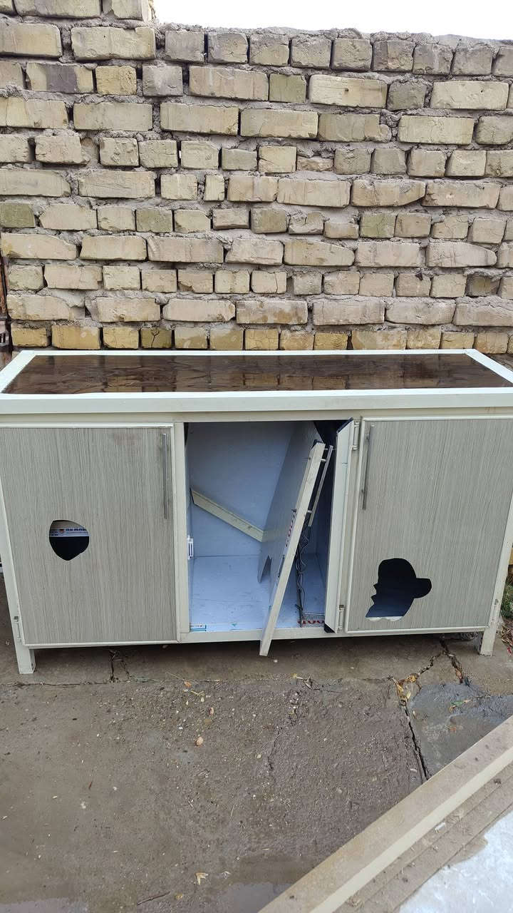 للبيع كلمن وسعره


**إذا كنت صاحب هذا الإعلان وتريد حذفه لأي سبب، رجاءا أرسل رسالة إلى الدعم الفني**