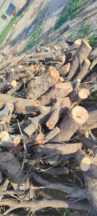 حطب • للبيع • كركوك