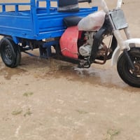 كلك مكفوله عشاير رقم 07808657679مكلف بنشر