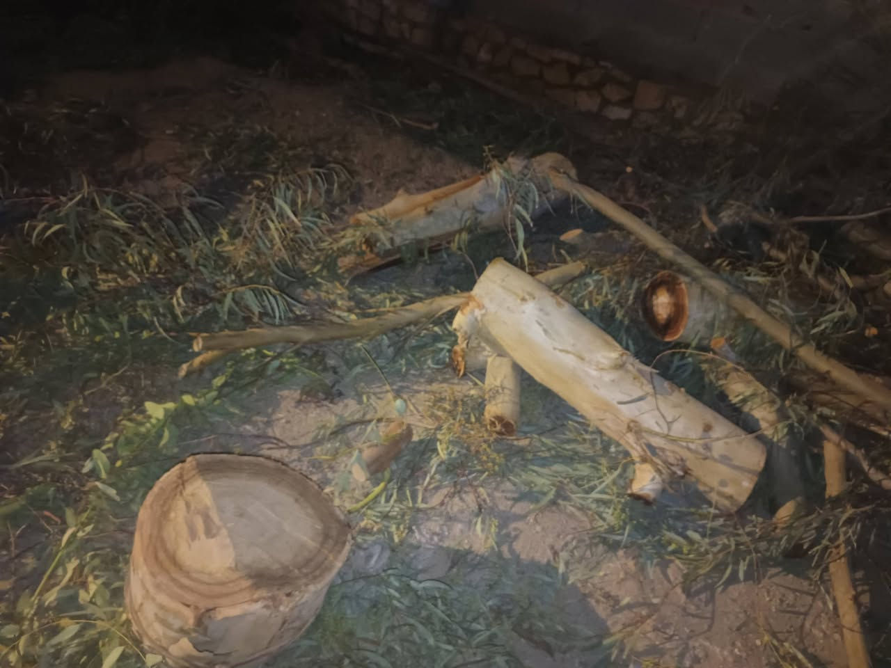 السلام عليكم حطب للبيع (حي الامين) تواصل
‏‪***********‬‏ اتصل
