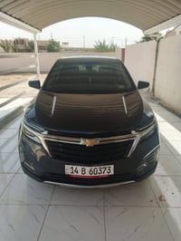 كوينس • ٢٠٢٣ • ضرر
