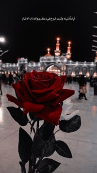 ليلة رأس السنة • كربلاء المقدسة • شريفة بنت الحسن