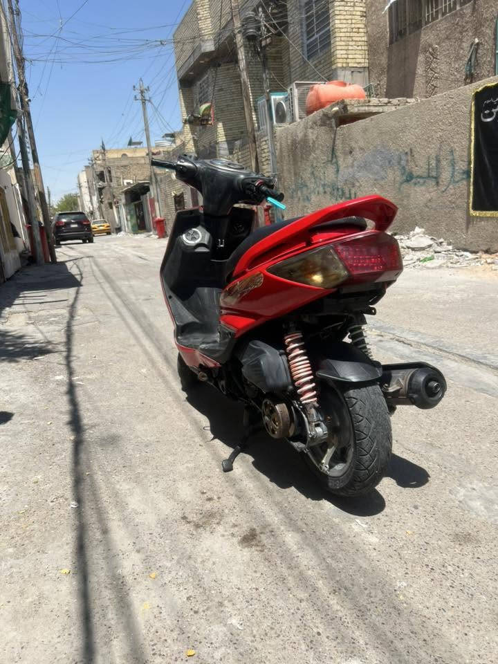 سلام عليكم سكنس فحل ٥٨ اي نقص ما بيهة صبغتة لين كفر جارد لبيع ومراوس مكان بغداد ***********
