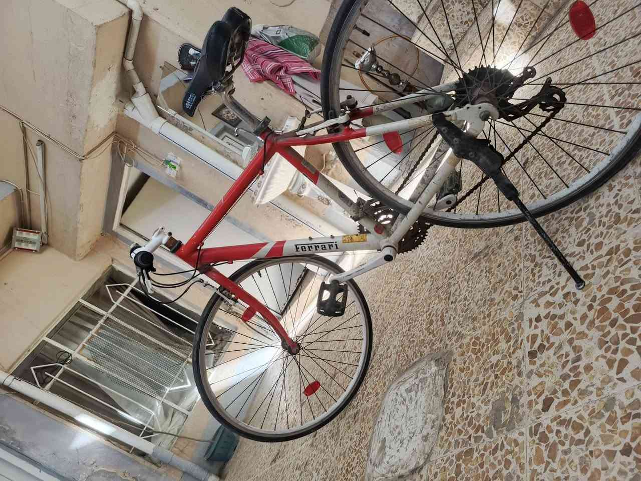 بايسكل للبيع مال سباق و رحاله نضيف وكيوره وسطابات كلها شغاله خفيف بحيث بصبع واحد تكدر ترفعه ادفع سعرك


**إذا كنت صاحب هذا الإعلان وتريد حذفه لأي سبب، رجاءا أرسل رسالة إلى الدعم الفني**