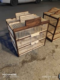 اقفاص بلابل سعر 25 توصيل متوفر وشتغل حسب طلب 07783472806