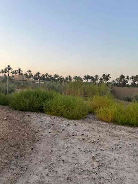 للبيع نص دونم 1250م

تصلح سكن وتصلح مزرعه
الموقع وردية داخل شارع المطحنة 

للأستفسار مراسلة الصفحة او الاتصال على الأرقام التالية 
***********
***********
