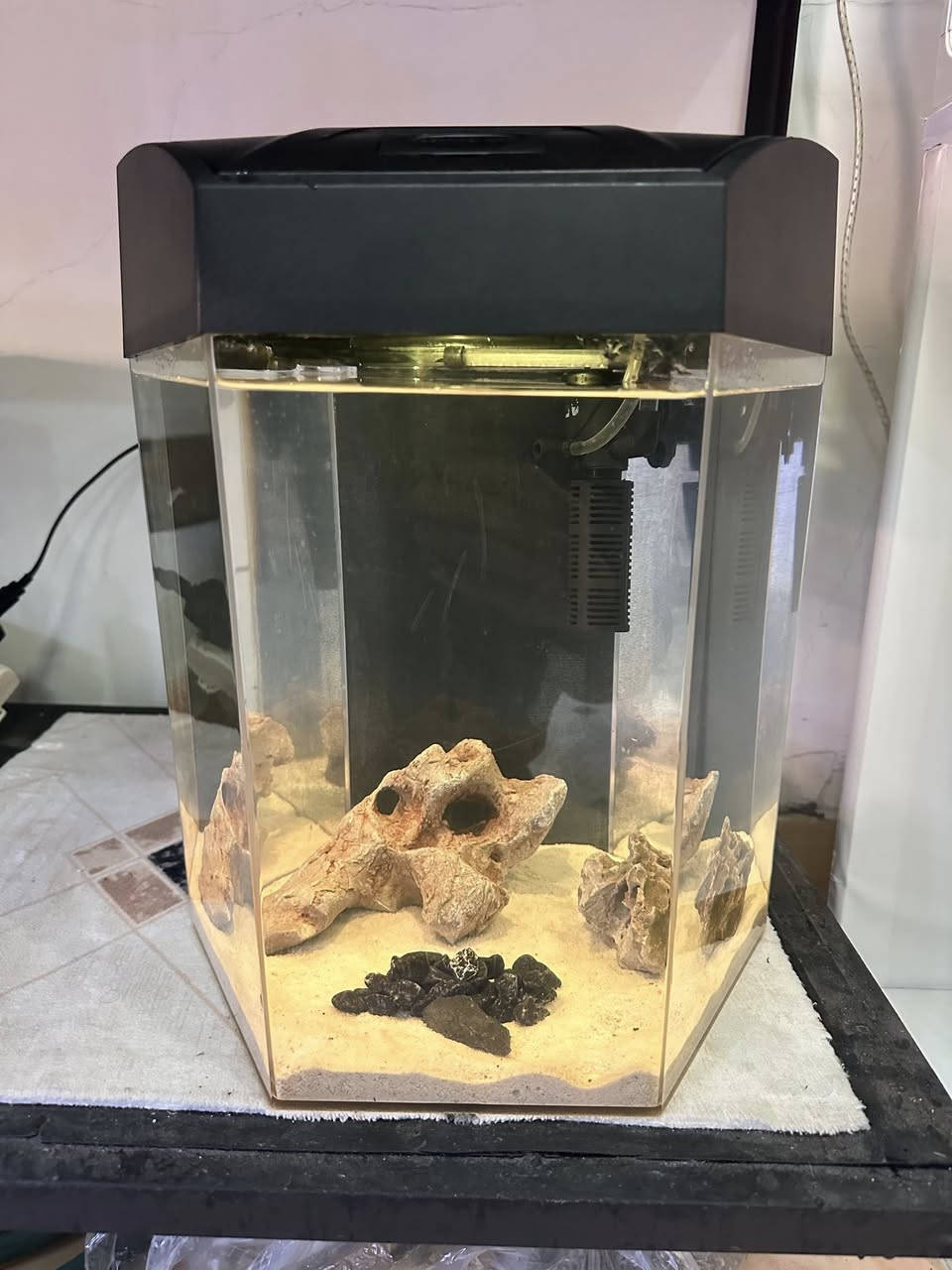 حەوزی شەریكەی ئاركلیك بە شێوەی شەش پاڵوو
فلتەری شەلالی لەگەڵە 
ئۆكسجینیش دابین دەكات
لیدی شەریكەی خۆی لەگەڵە بە شێوەی لەمس  زیاد لە ٧ ڕەنگی تیایە
وە مۆدی گۆڕینی ئۆتۆماتیكی تێدایە ڕەنگەكانی
٢ بەردی كونداری زۆر ڕاقی و تایبەتی لەگەلە
شوێن خواردنی بۆ كراوە بۆ ماسیەكان
بنی لمێكی سپی جوانی لەگەلە
 پشتی باگراوندی ڕەشی لێدراوە
قیاسی بەرزی ٤٠ سم وە تیرە بۆ تیرە ٣٢ سم
تێبینی : حەوزەكە ئەورووپی بەكارهاتووە
_______
ئەوەی ویستی نامە بنێرێت لە واتس ئەپ یا ڤایبەر 
***********
گەیاندنمان تەنھا بۆ ناو سلێمانی ھەیە
