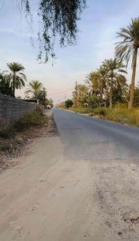 دونم ملك صرف للبيع  العنوان المدائن شارع سيد علي خدمات كامله  واجهه ال...