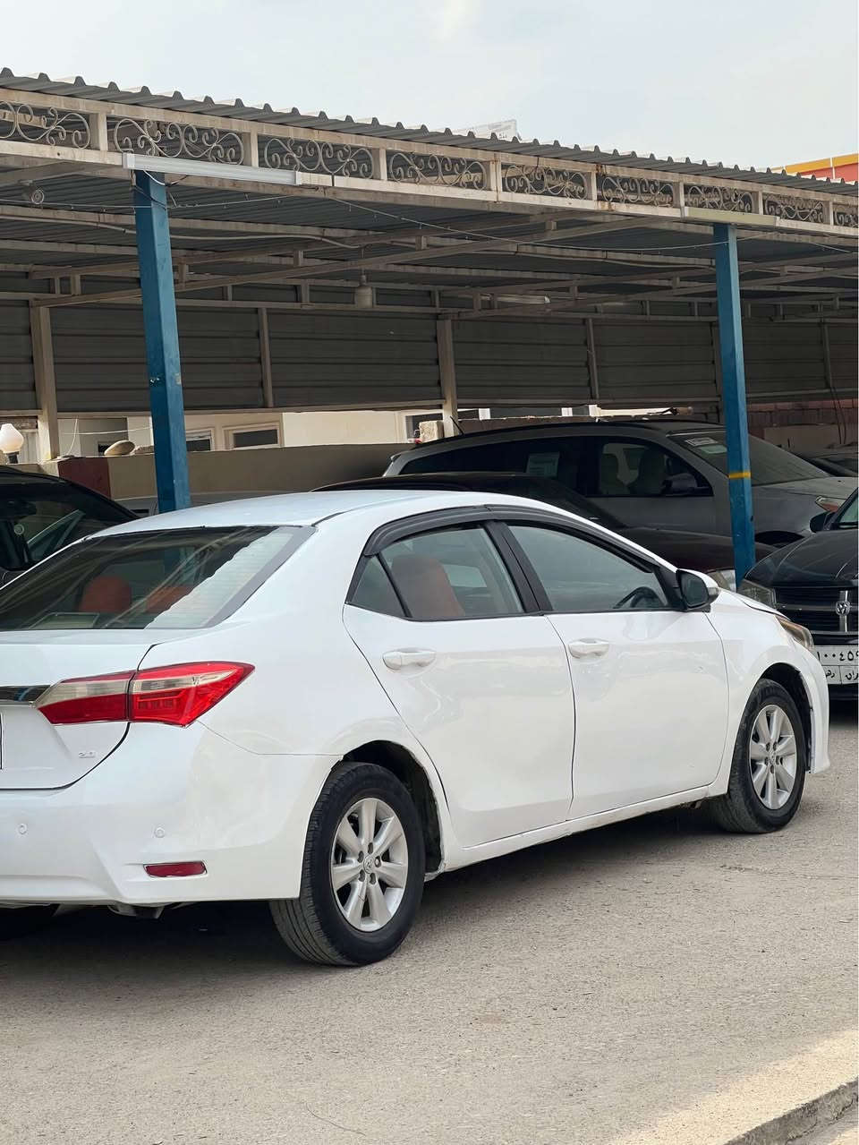 تويوتا كورلا 2014 خليجي محرك18

گيرو محرك بشرط ما مفتوح

تحويل بشرط 

تخم امامي و خلفي جديد

منتجيه ع صفحة السايق ابيع عام صبغ

تبريد و تدفئة كهرابيه كله بشرط 

سعر 84 ورقه و مجال قليل 

مكان السياره قضاء بردرش 

رقم تلفون ***********

*********** اكر, نينوى
