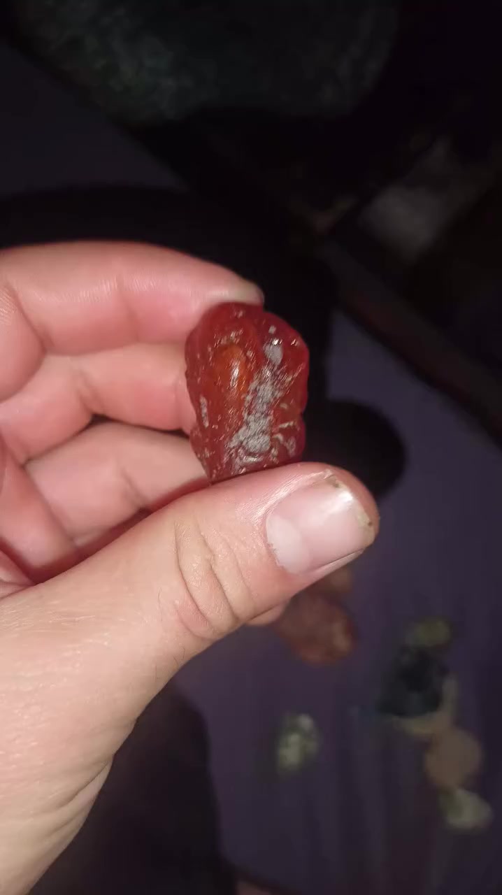 عندي ذن للبيع


**إذا كنت صاحب هذا الإعلان وتريد حذفه لأي سبب، رجاءا أرسل رسالة إلى الدعم الفني**