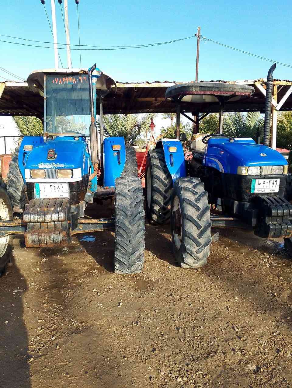 الموقع  :بابل الحمزة الغربي الخميسيه
الرقم :***********
