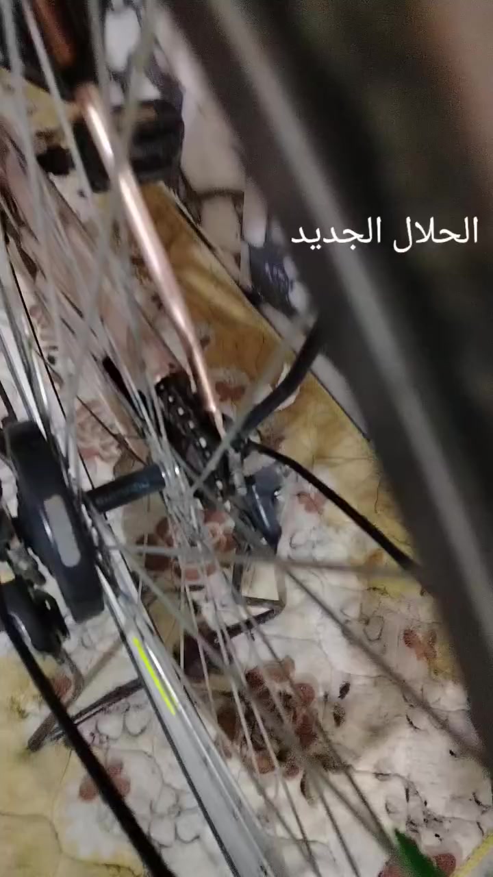 سلام عليكم
باسكل لبيع او مراوس شركه بيدي مغوبه لونه بصلي
حجم ٢٦ مكانه كوفه شارع المعمل


**إذا كنت صاحب هذا الإعلان وتريد حذفه لأي سبب، رجاءا أرسل رسالة إلى الدعم الفني**