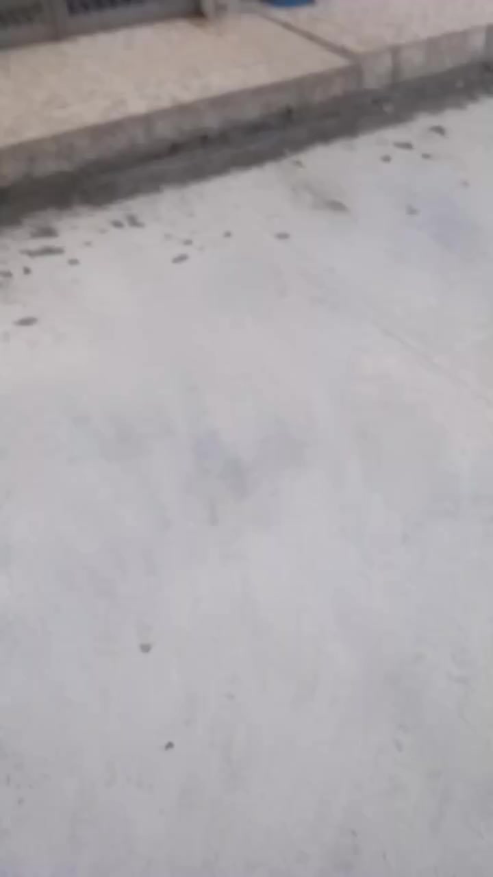 مكتب طيبة الدارللبيع مساحه 100 جمعية زيونةالرابعه قرب حي سومر اكتب تم يوصلك السعر عل خاص تابعني وضيفني حتى تصلك كل المنشورات الجديدة نستقبل عروض البيع والشراء والايجار في اغلب مناطق الجانب الايسر 
***********
***********
@الجميع
