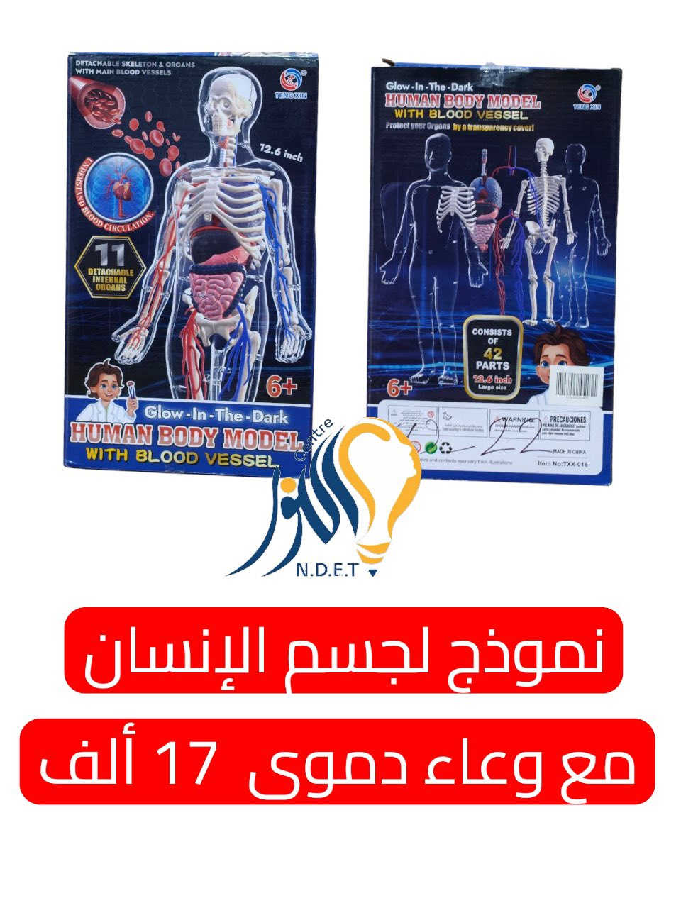 مجسمات ‏من مركز النور لألعاب الذكاء والوسائل التعليمية الموصل المجموعة الثقافية خلف مأكولات طماطة واتس ***********
‏يوجد توصيل داخل مدينة الموصل وجميع أنحاء العراق 
البيع جملة ومفرد
 #العاب #الذكاء #موصل #مركز #النور
